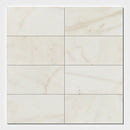 Calacatta Cremo Honed Marble Tile