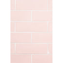 Blush Glossy Subway Ceramic Tile