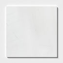 Alpina White T Honed Marble Tile