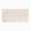 Shell Reef Tumbled Limestone Pavers