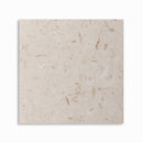 Shell Reef Tumbled Limestone Pavers