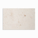 Shell Reef Tumbled Limestone Pavers