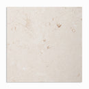 Shell Reef Tumbled Limestone Pavers