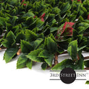 Red Tipped Photinia Trellis