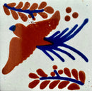 Paloma Terracotta Y Azul