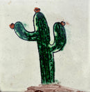 Cactus II