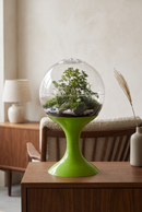 Atomic Space Age Terrarium