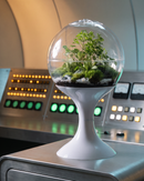 Atomic Space Age Terrarium