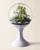 Atomic Space Age Terrarium