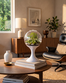 Atomic Space Age Terrarium