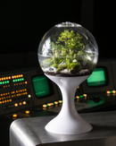 Atomic Space Age Terrarium