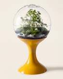 Atomic Space Age Terrarium