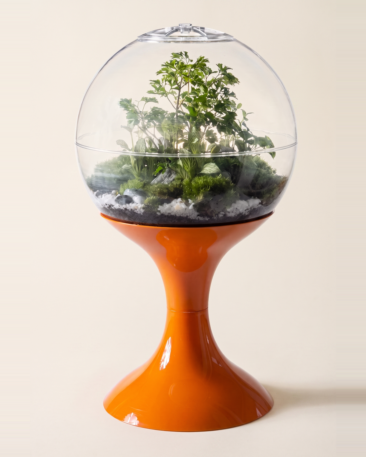 Atomic Space Age Terrarium, photo 12 of 20