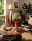 Atomic Space Age Terrarium