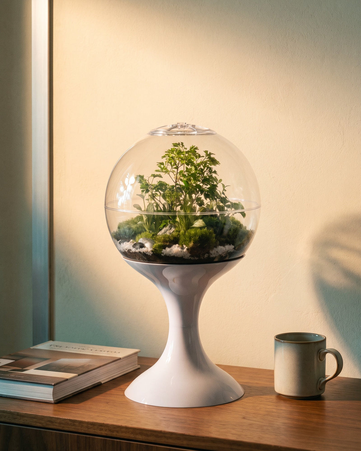 Atomic Space Age Terrarium, photo 7 of 20