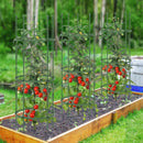 3-Pack Garden Trellis 40 Inch Tall Plant Support Stands with Clips and Ties by LJGDeals