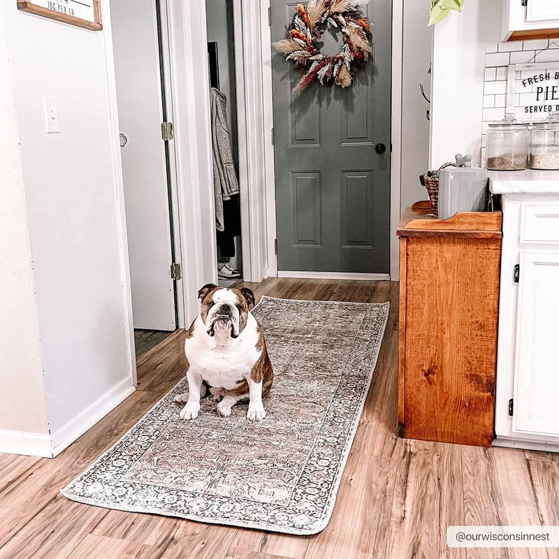 Jill Washable Area Rug - Clearance