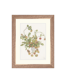 Pastel Apple Branches