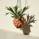 The Creature Orb Hanging Planter Pot With Drainage