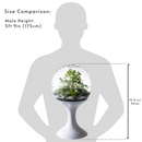 Atomic Space Age Terrarium by Potifiv
