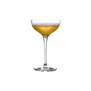 Terroir Set of 2 Coupe Glasses by NUDE USA