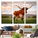 Texas Cow Canvas Wall Art Print, Animal Pictures and