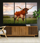Texas Cow Canvas Wall Art Print, Animal Pictures and