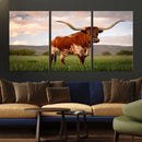 Texas Cow Canvas Wall Art Print, Animal Pictures and