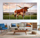 Texas Cow Canvas Wall Art Print, Animal Pictures and
