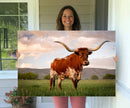 Texas Cow Canvas Wall Art Print, Animal Pictures and