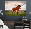 Texas Cow Canvas Wall Art Print, Animal Pictures and