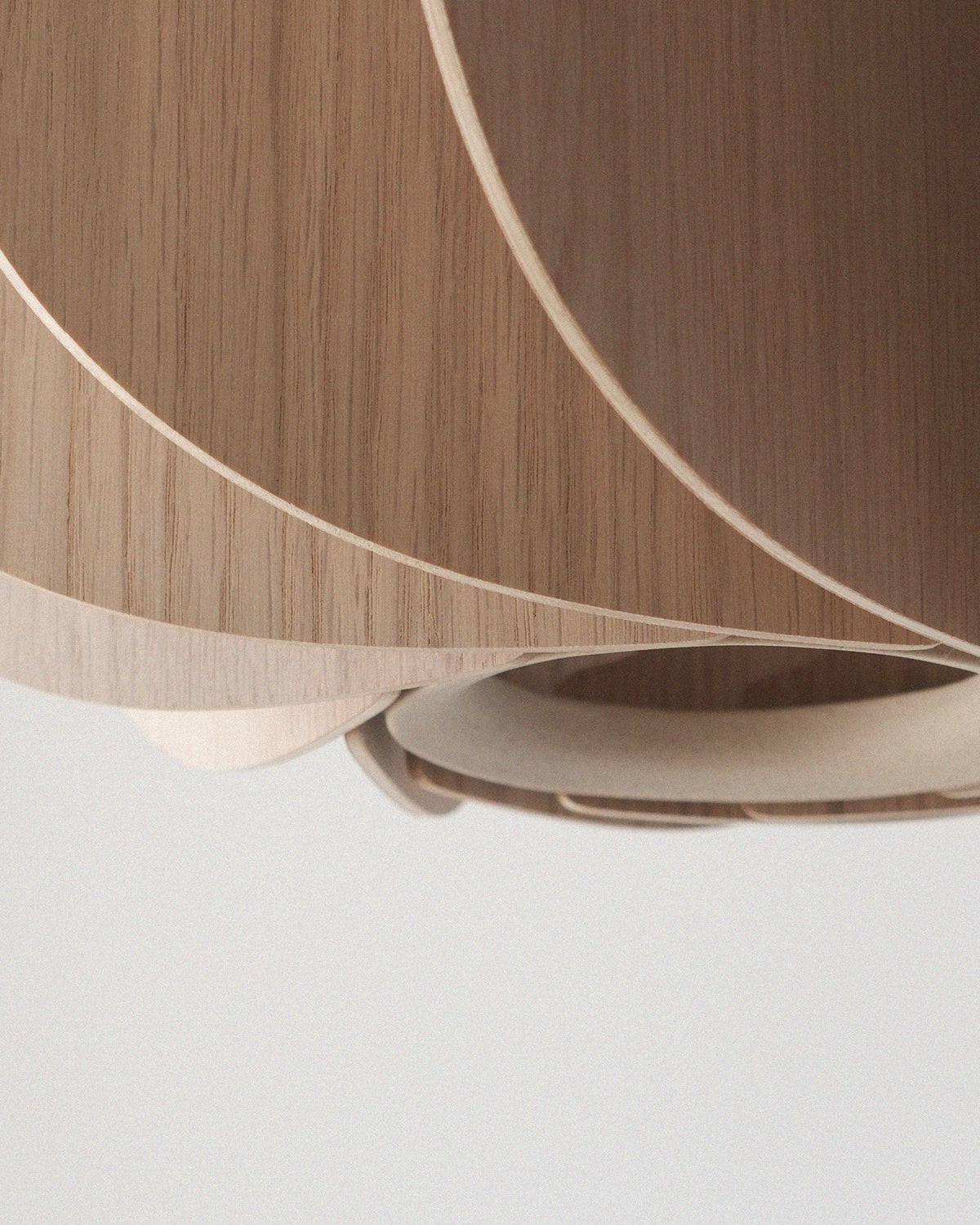 Fin I Pendant, detail