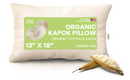 Kapok Sleep Bed Pillows with 100% Organic Cotton Fabric - Plant Based Vegan Organic by Bean Products