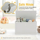 Safety Hinge Wooden Chest Organizer Toy Storage Box by LJGDeals
