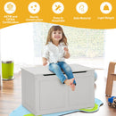 Safety Hinge Wooden Chest Organizer Toy Storage Box