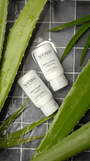 Aloe Vera Conditioner | Viridian Grove by Rustic Strength