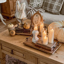 Rustic Wood and Metal Trays, Set of Two by Decor Steals