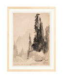 Antique Trees Drawing
