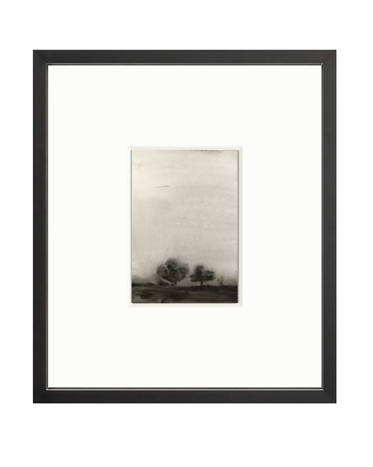 Trees In The Mist, photo 3 of 11