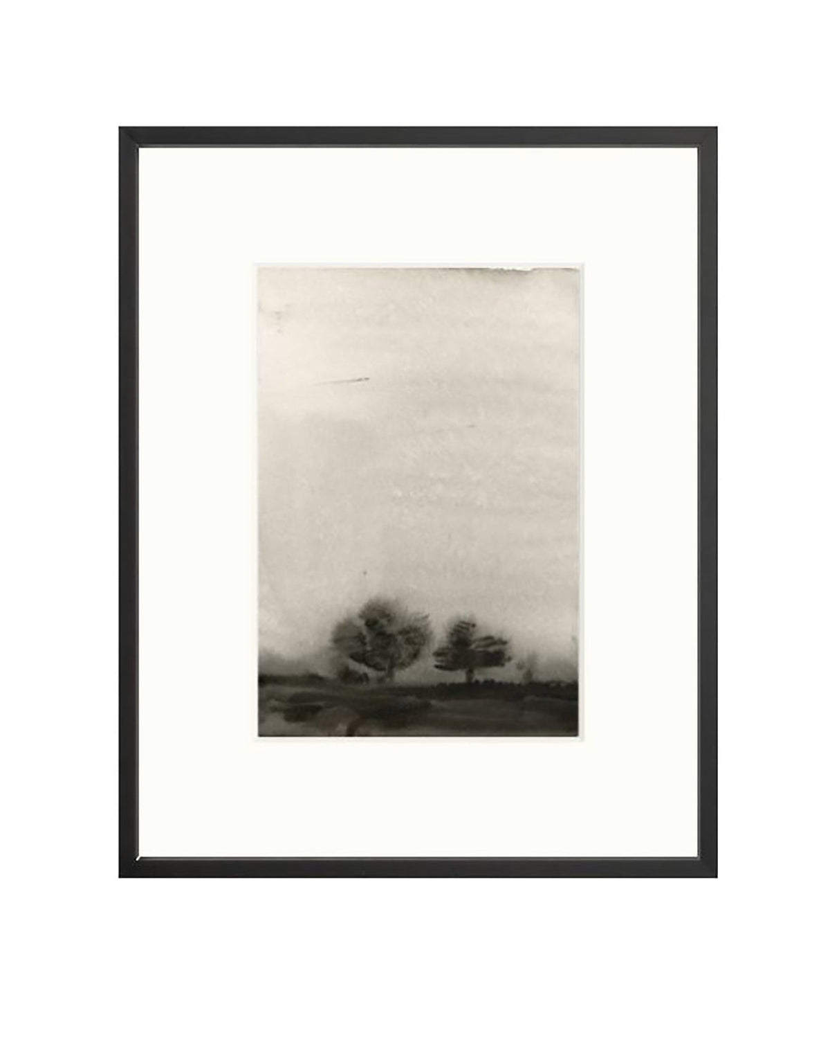Trees In The Mist