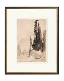 Antique Trees Drawing