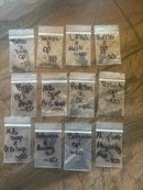 Trichocereus Cactus Seeds Pachanoi, Peruvianus, Bridgesii, Scopulicola, Hybrid seed & others For Sale