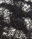 Trichocereus Cactus Seeds Pachanoi, Peruvianus, Bridgesii, Scopulicola, Hybrid seed & others For Sale