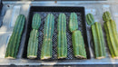 Trichocereus Pachanoi Common San Pedro PC Ornamental Grafting Cactus Cuttings and Potted by The Succulent Source