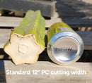 Trichocereus Pachanoi Common San Pedro PC Ornamental Grafting Cactus Cuttings and Potted by The Succulent Source