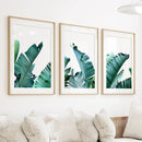 Green Banana Leaves 3 Piece Set. Tropical Wall Art by Wall Art Set