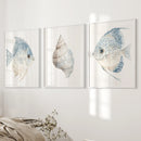 Trendy Nautical Wall Art Set of 3. Seashell and Fishes Posters by Wall Art Set