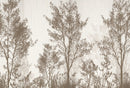 Elegant Forest Wallpaper Mural - Birch and Willow Trees in Neutral Tones