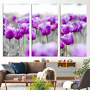Tulip Fields Canvas Wall Art Print