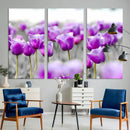 Tulip Fields Canvas Wall Art Print